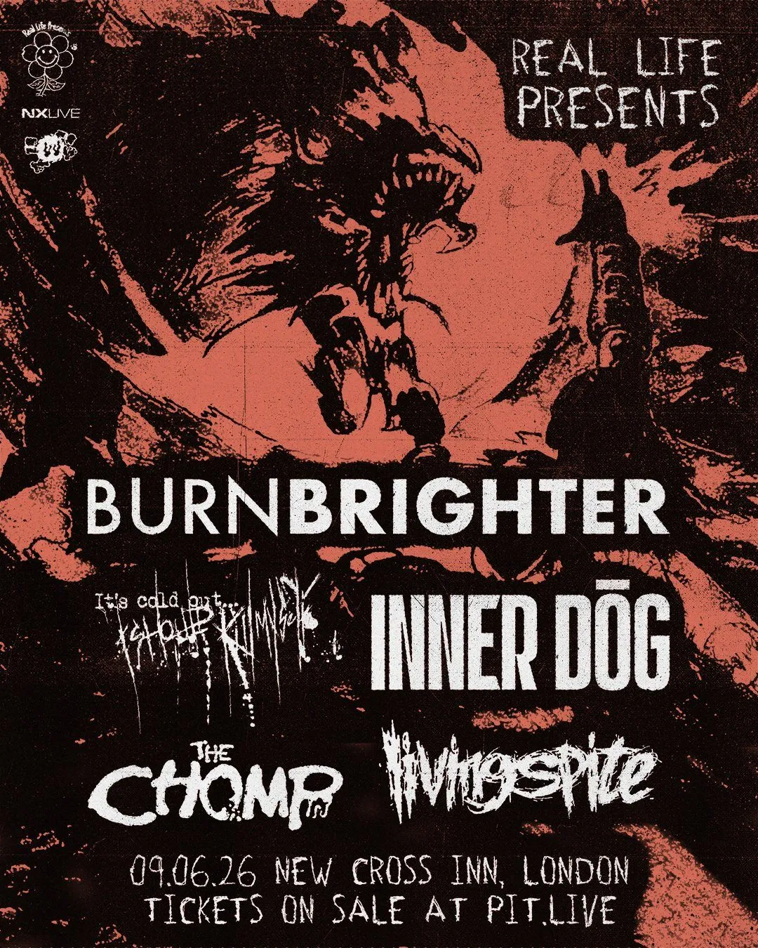 Burn Brighter, It’s Cold Out… I Should Kill Myself, Inner Dog, The Chomp & Living Spite | Real Life Presents